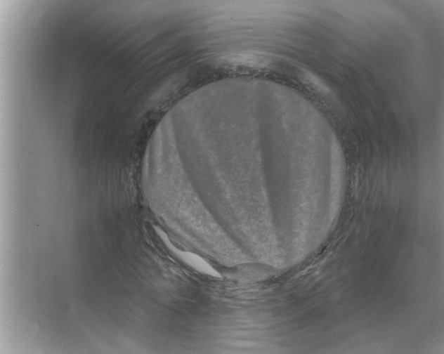 X0000070230774200606232156
