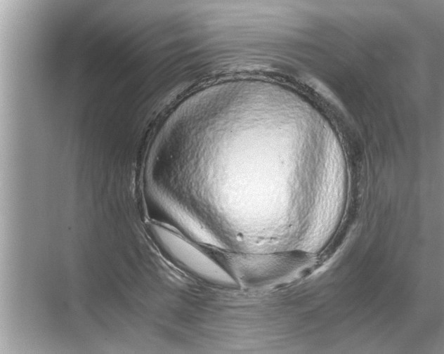 X0000070230777200606232156