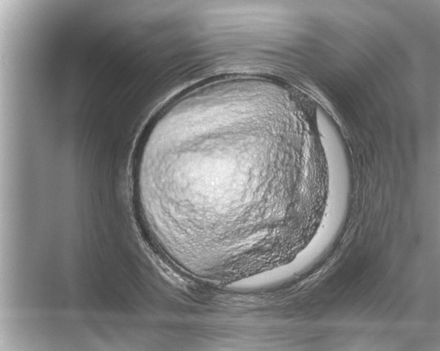 X0000070230787200606232156