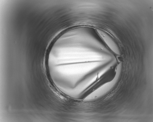 X0000070230788200606232156