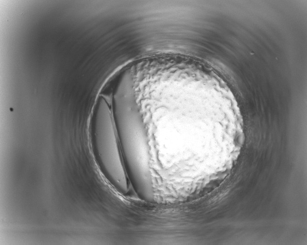 X0000070230798200606232156