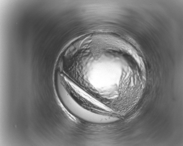 X0000070230803200606232155