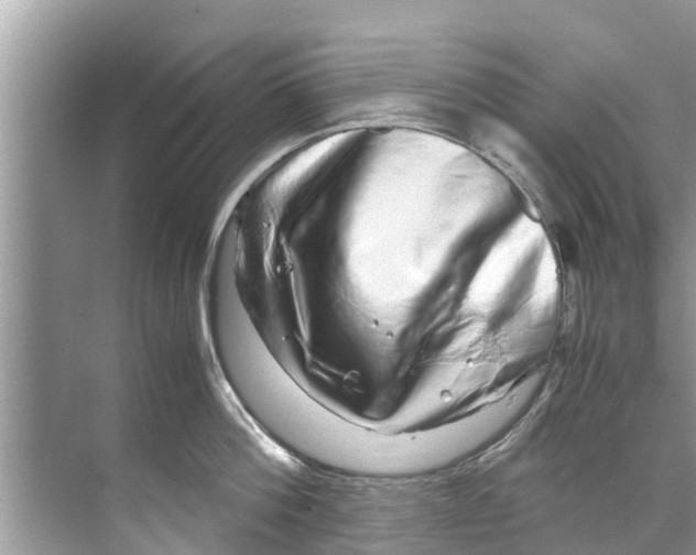 X0000070230812200606232155
