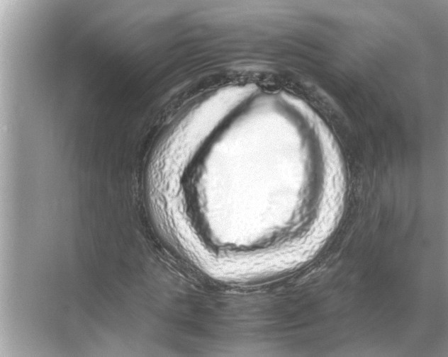 X0000070230821200606232155