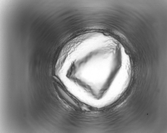 X0000070230833200606232155