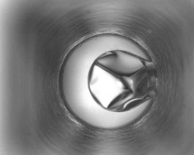 X0000070230834200606232155
