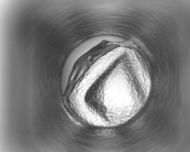 X0000070230841200606232155