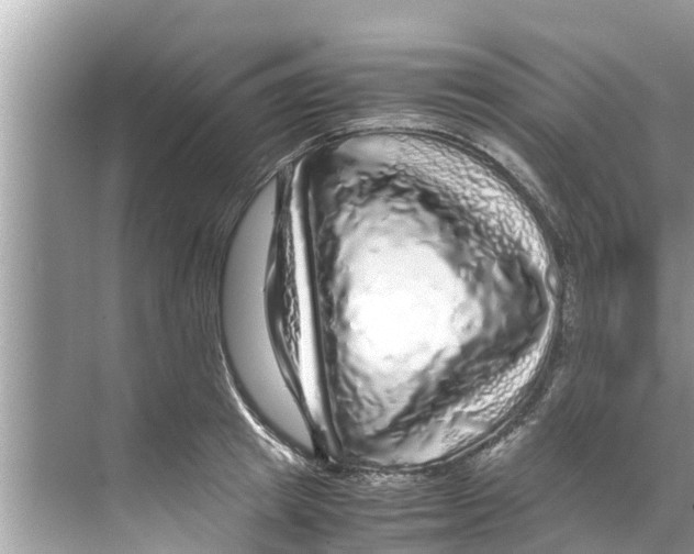 X0000070230849200606232155