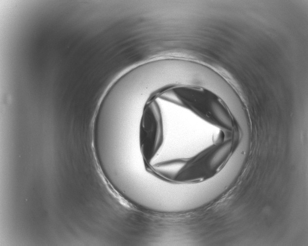 X0000070230862200606232155
