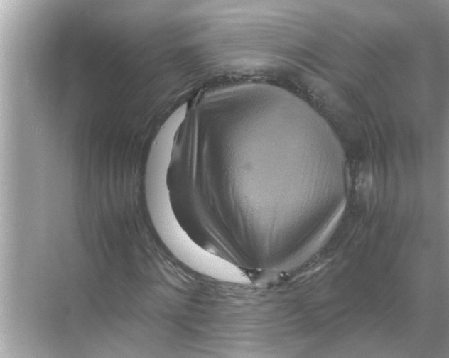 X0000070230868200606232154