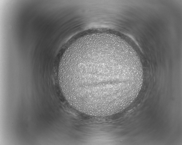 X0000070230871200606232154