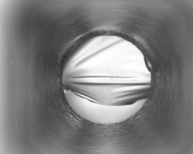 X0000070230872200606232154