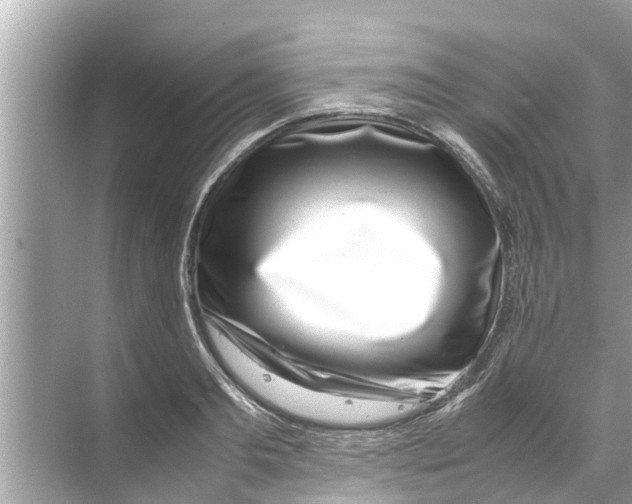 X0000070230893200606232154