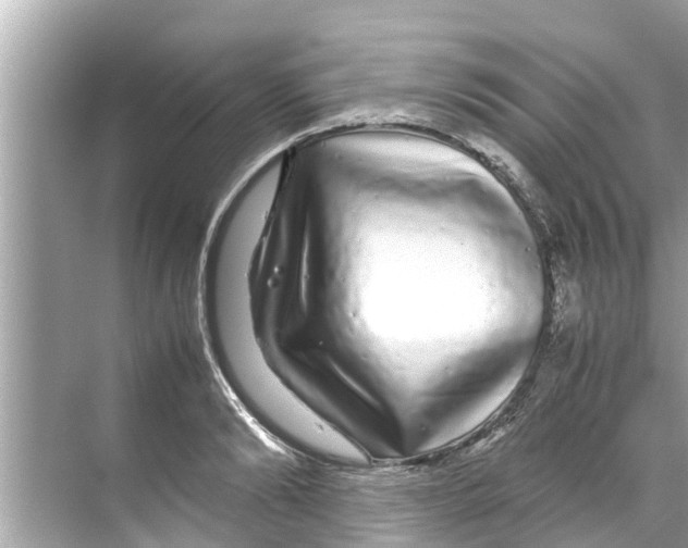 X0000070230894200606232154