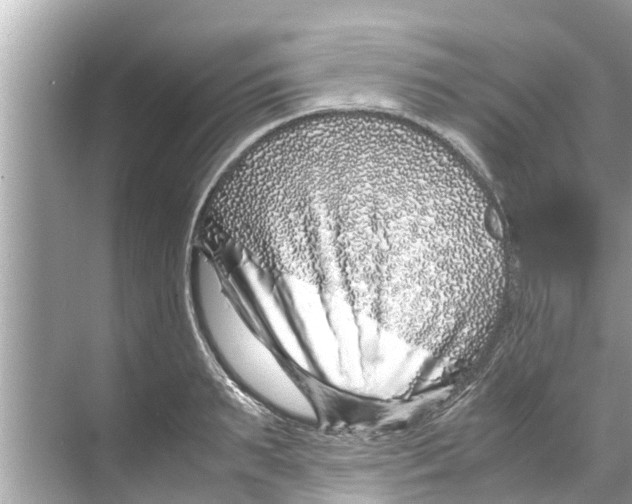 X0000070230895200606232154