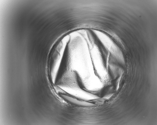 X0000070230896200606232154