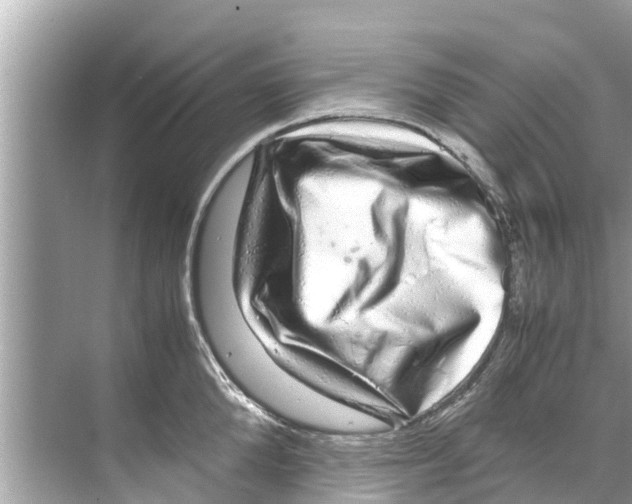 X0000070230904200606232154