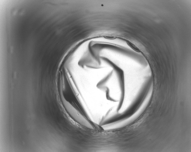X0000070230912200606232154