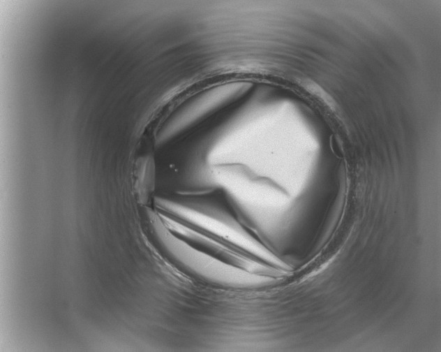 X0000070230922200606232153