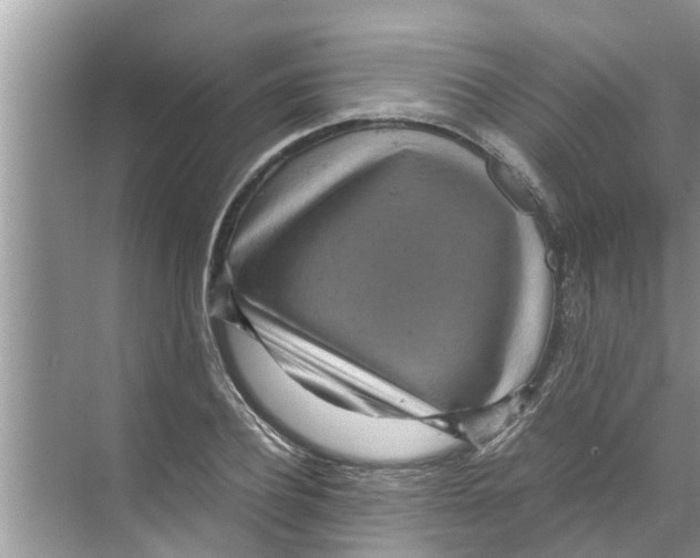 X0000070230932200606232153