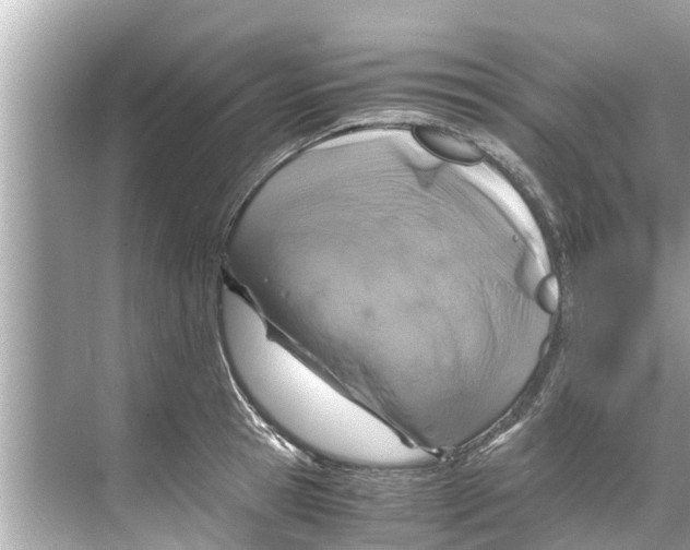 X0000070230945200606232153