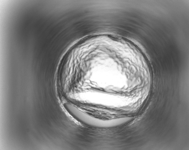X0000070230949200606232153