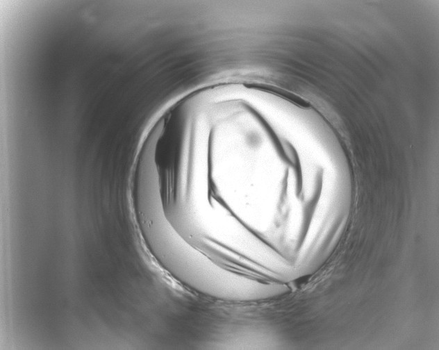 X0000070230960200606232154