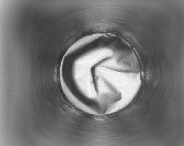 X0000070230964200606232153