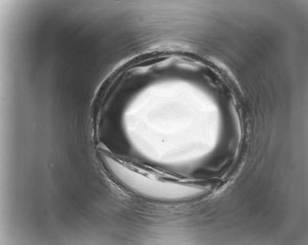 X0000070230973200606232153