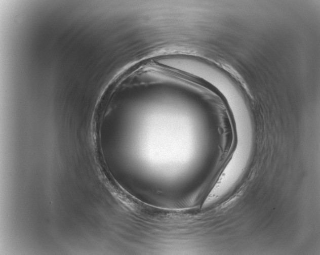X0000070230981200606232152