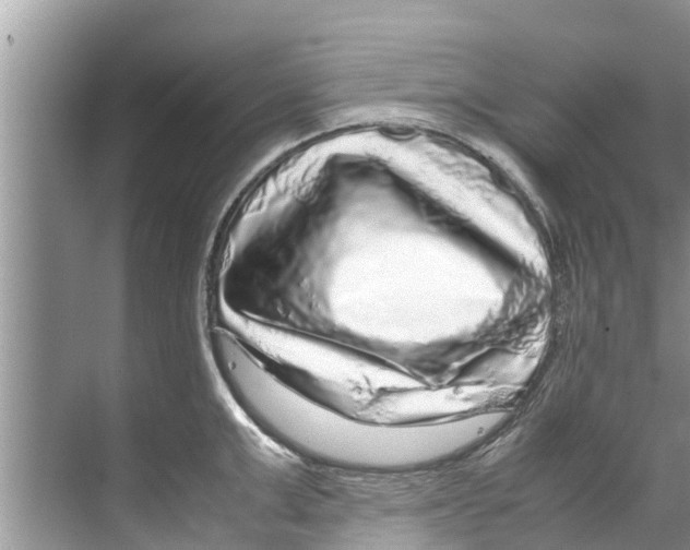 X0000070230999200606232152