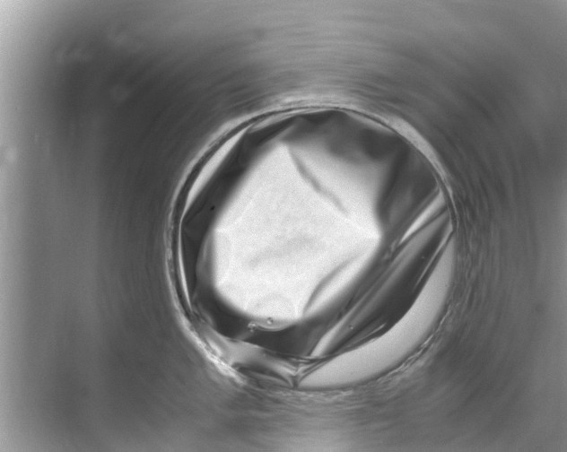 X0000070231005200606232152