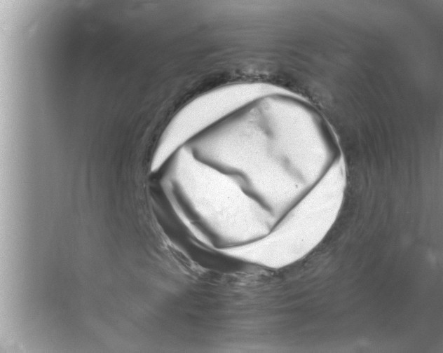 X0000070231009200606232151