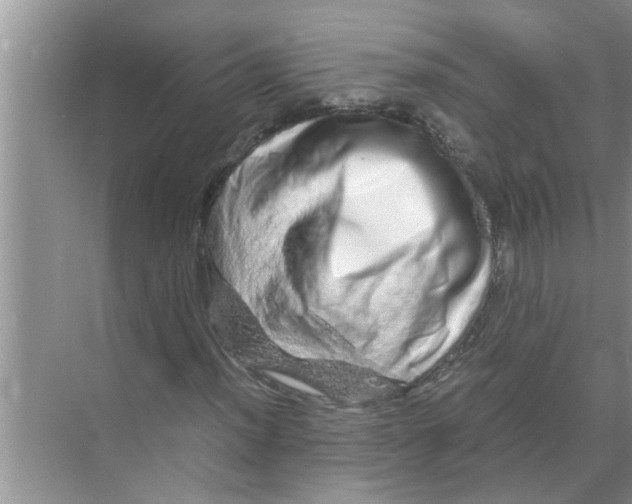X0000070231012200606232151