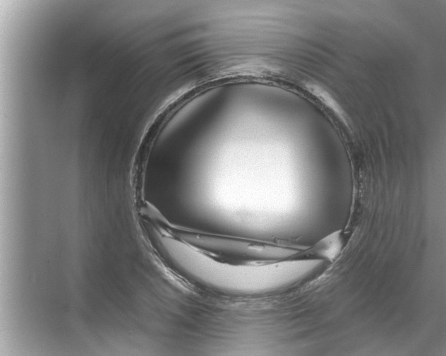 X0000070231026200606232152