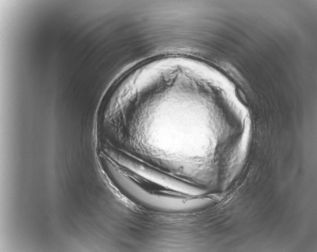 X0000070231036200606232152