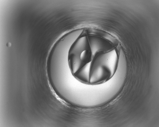 X0000070231038200606232152