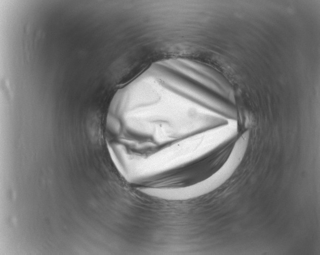 X0000070231058200606232151