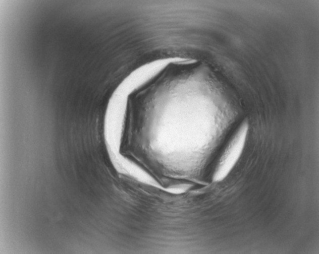 X0000070231060200606232151