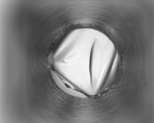 X0000070231062200606232151