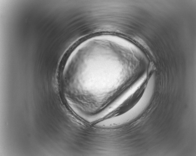 X0000070231068200606232151