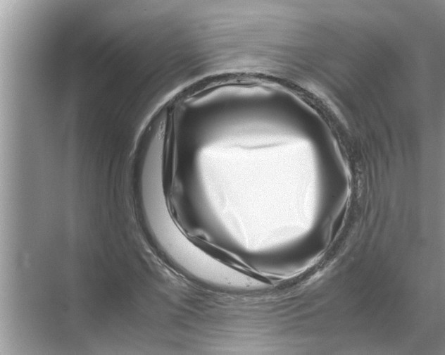X0000070231069200606232151