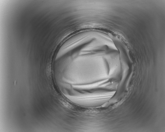 X0000070231073200606232151
