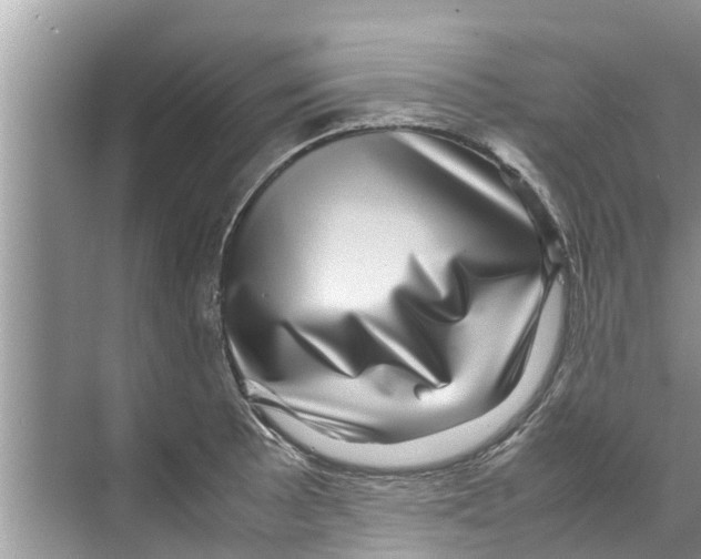 X0000070231089200606232151