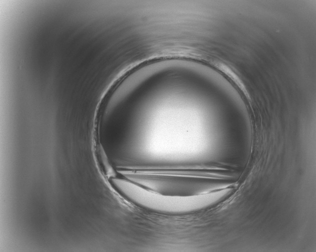 X0000070231093200606232151