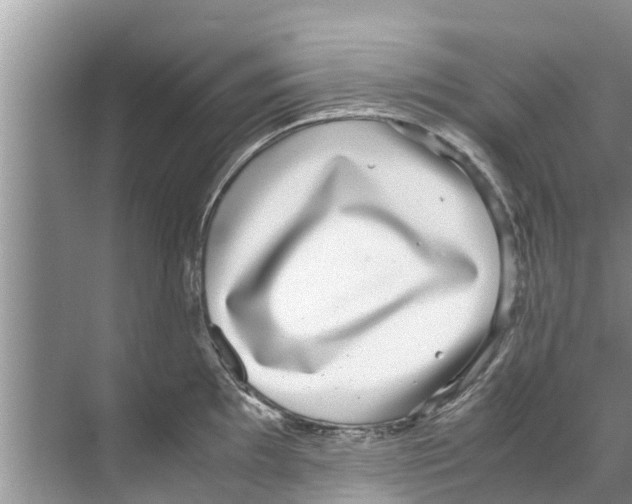 X0000070231097200606232151