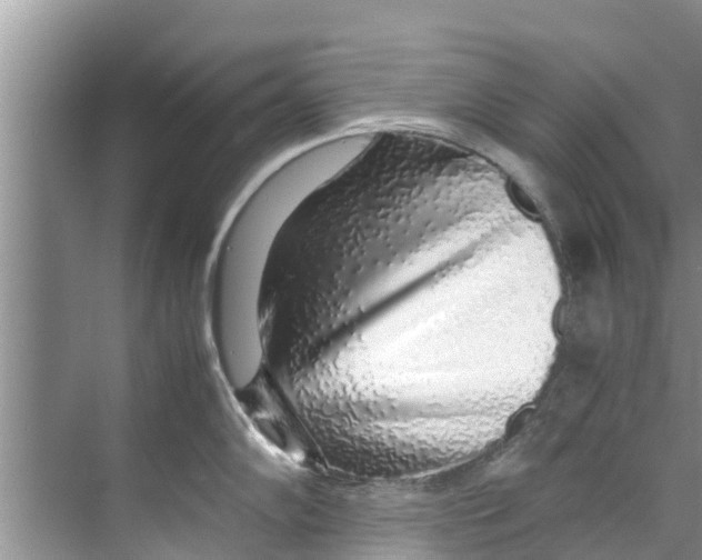 X0000070231102200606232150