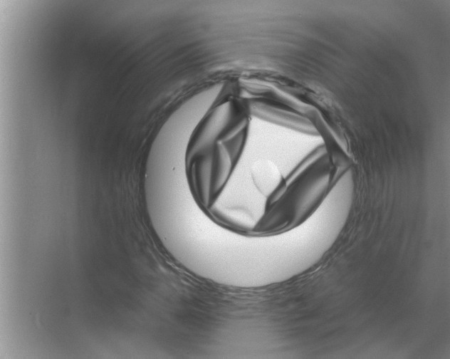 X0000070231110200606232150