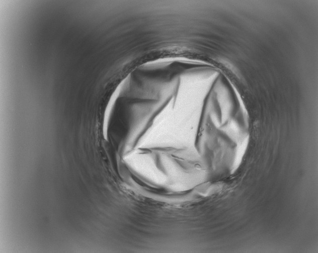 X0000070231111200606232150