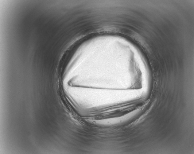 X0000070231117200606232150